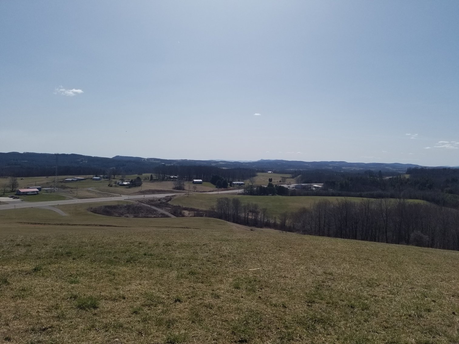 Image for Primtimber Auction