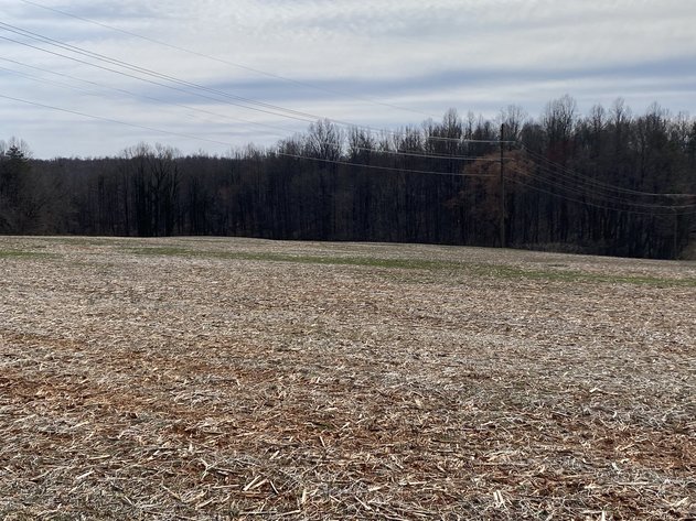 Image for 78.9 +/- Acres of Land in Madison County, VA--SELLING to the HIGHEST BIDDER!!