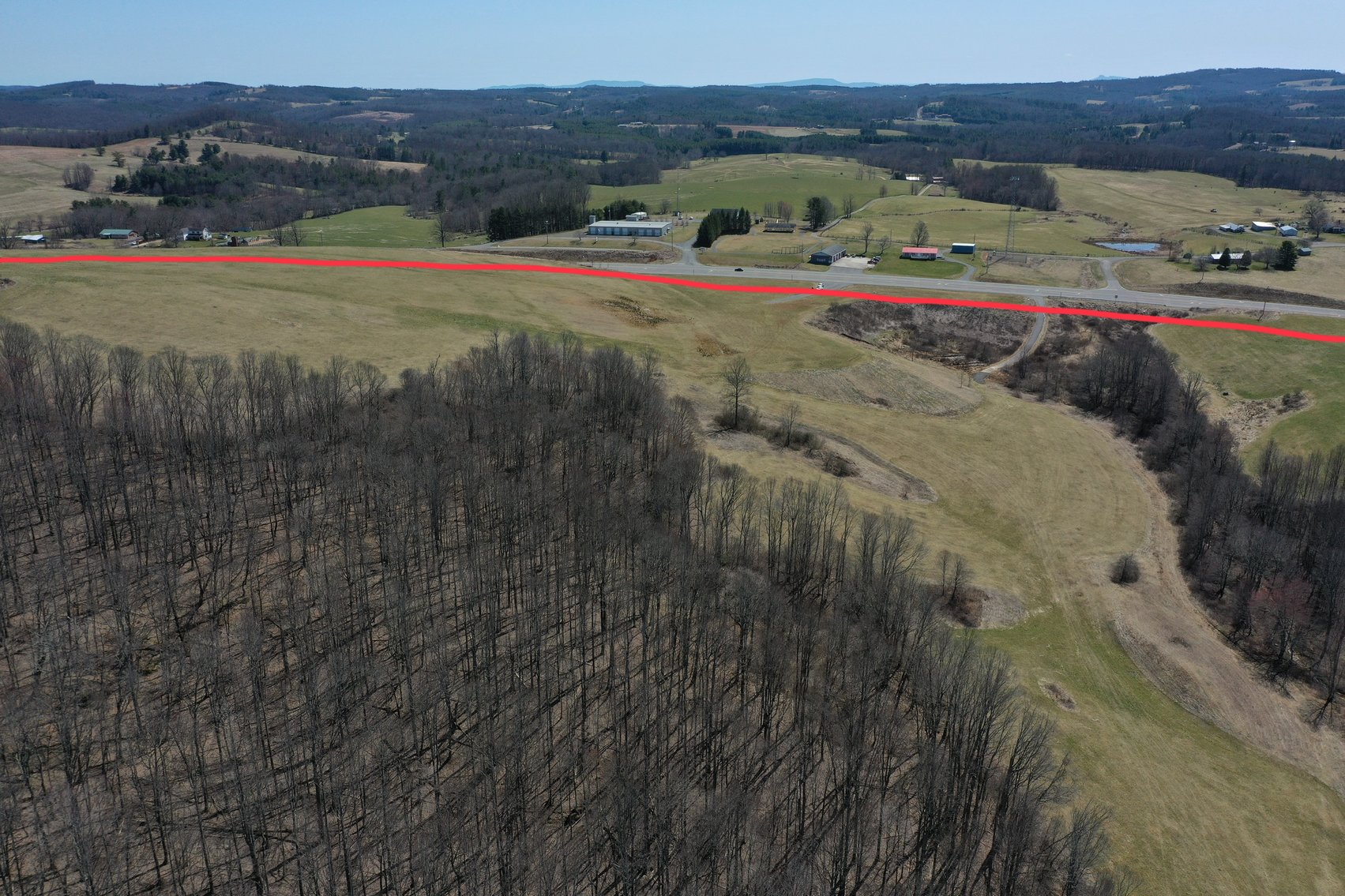 Image for Primtimber Auction