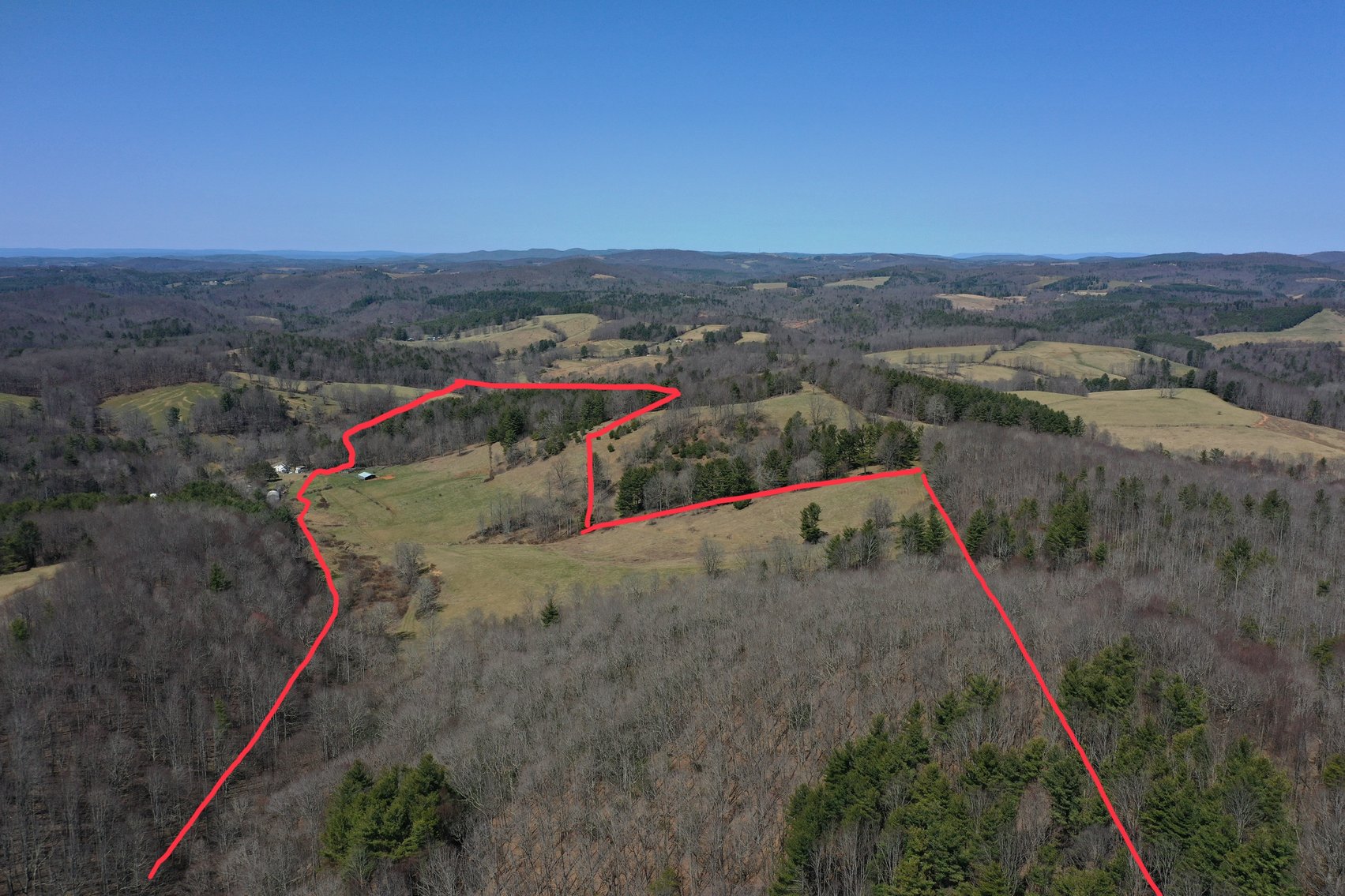 Image for Primtimber Auction