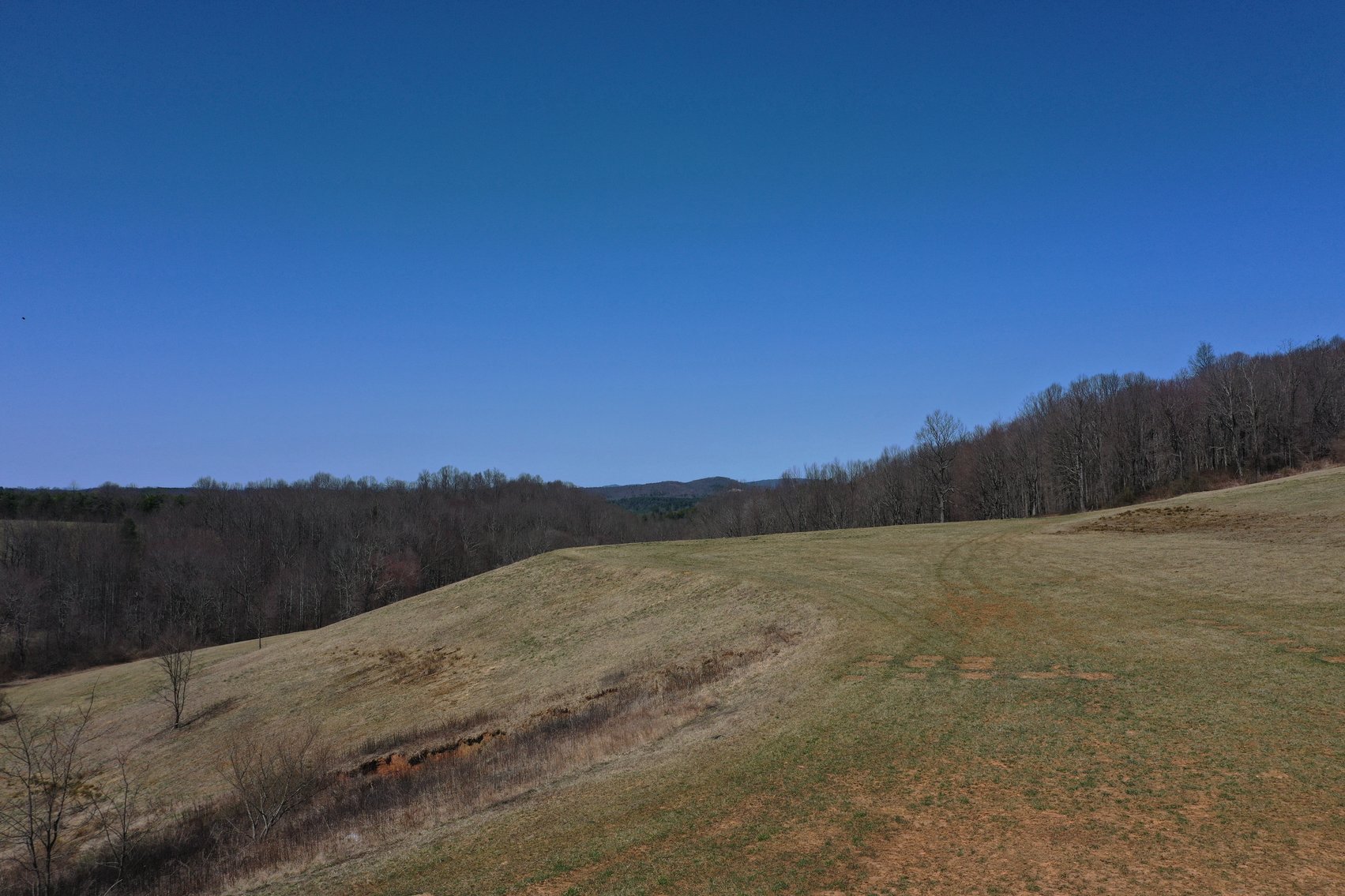 Image for Primtimber Auction