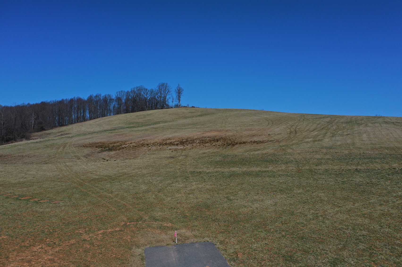 Image for Primtimber Auction