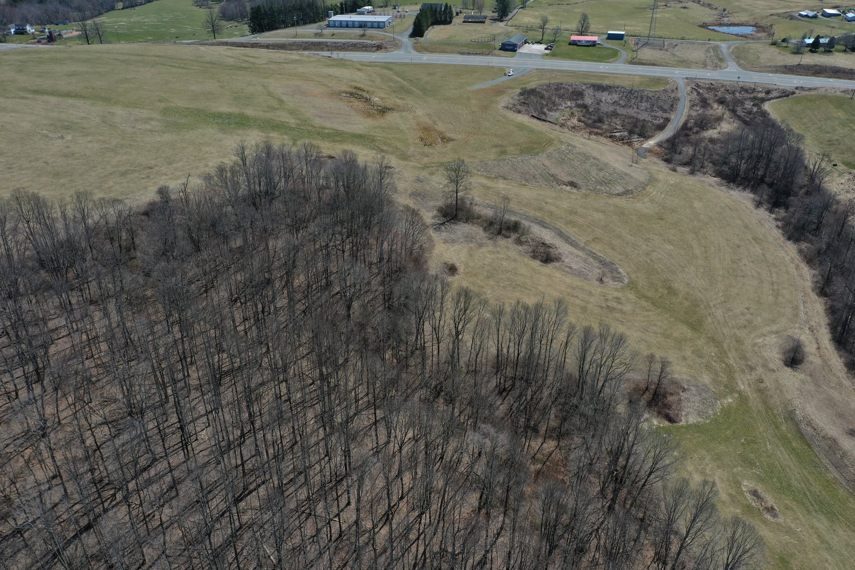 Image for Primtimber Auction