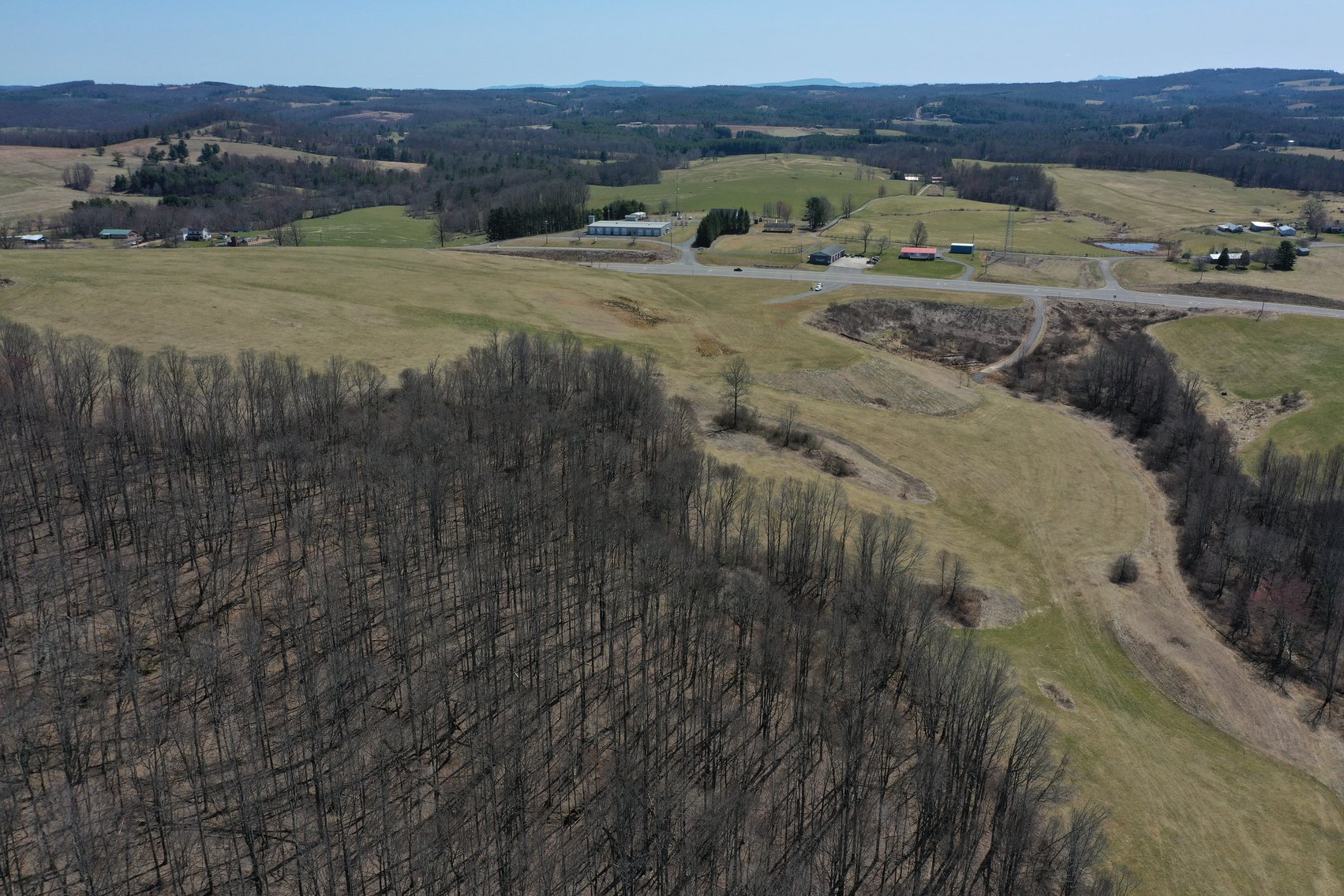 Image for Primtimber Auction