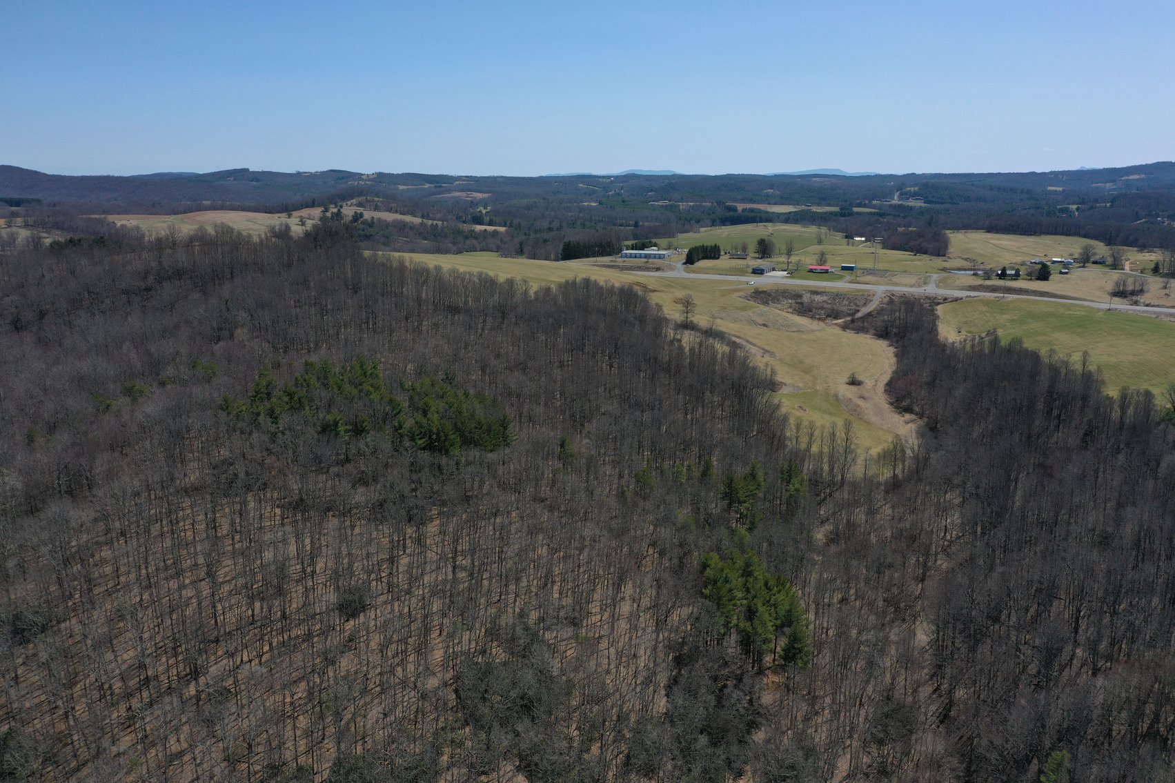 Image for Primtimber Auction