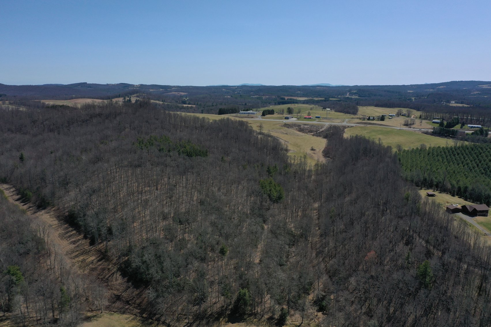 Image for Primtimber Auction