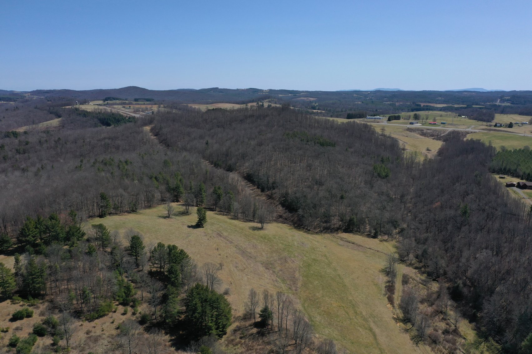 Image for Primtimber Auction