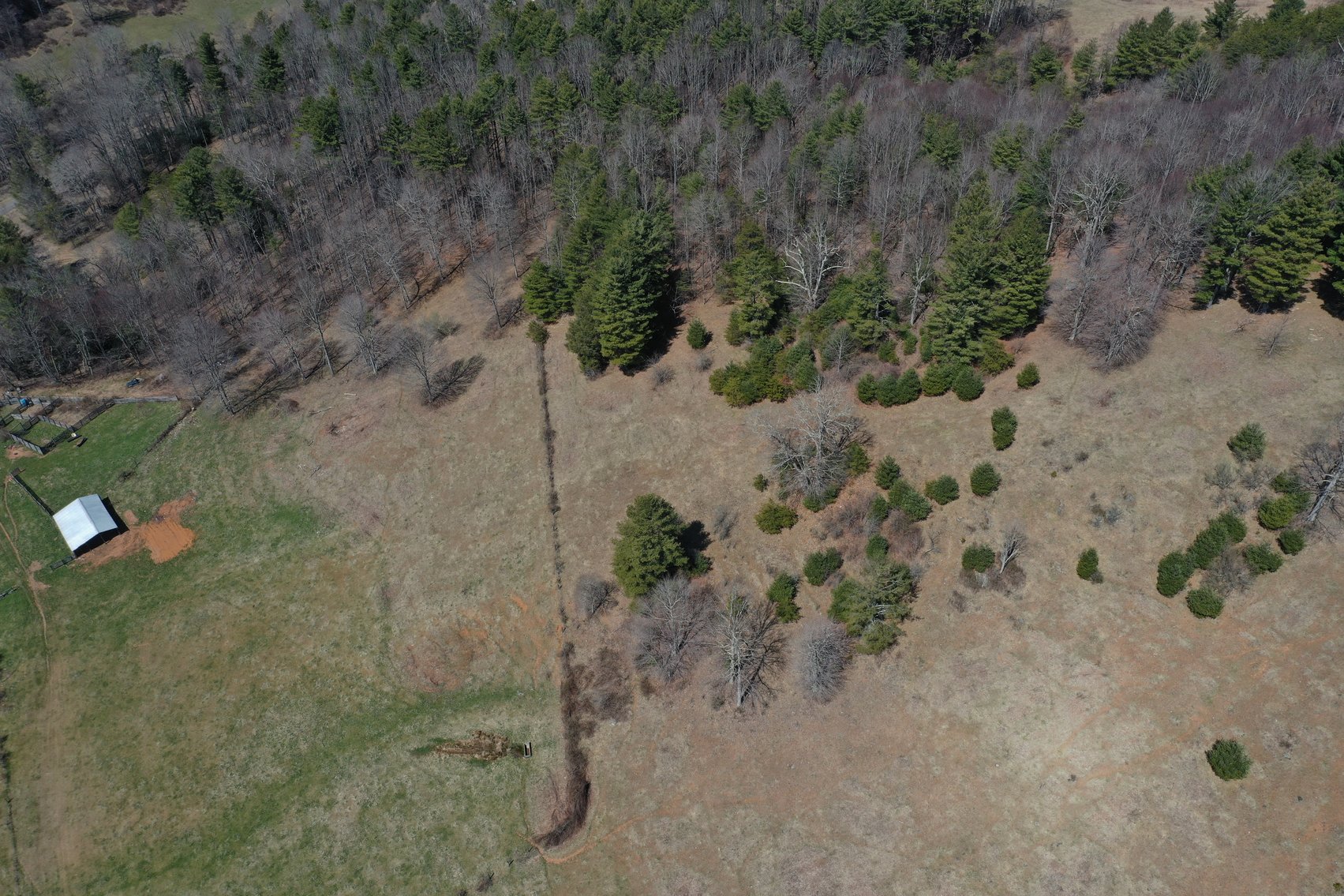 Image for Primtimber Auction