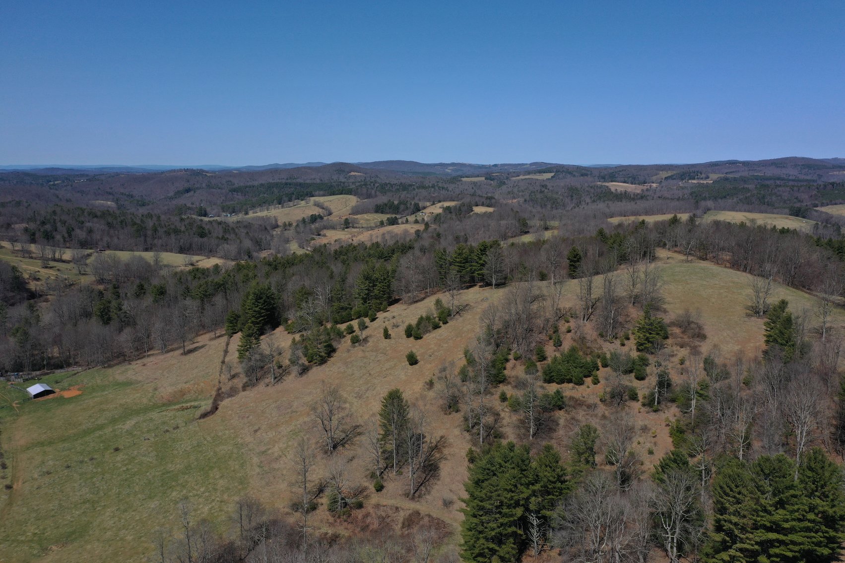 Image for Primtimber Auction