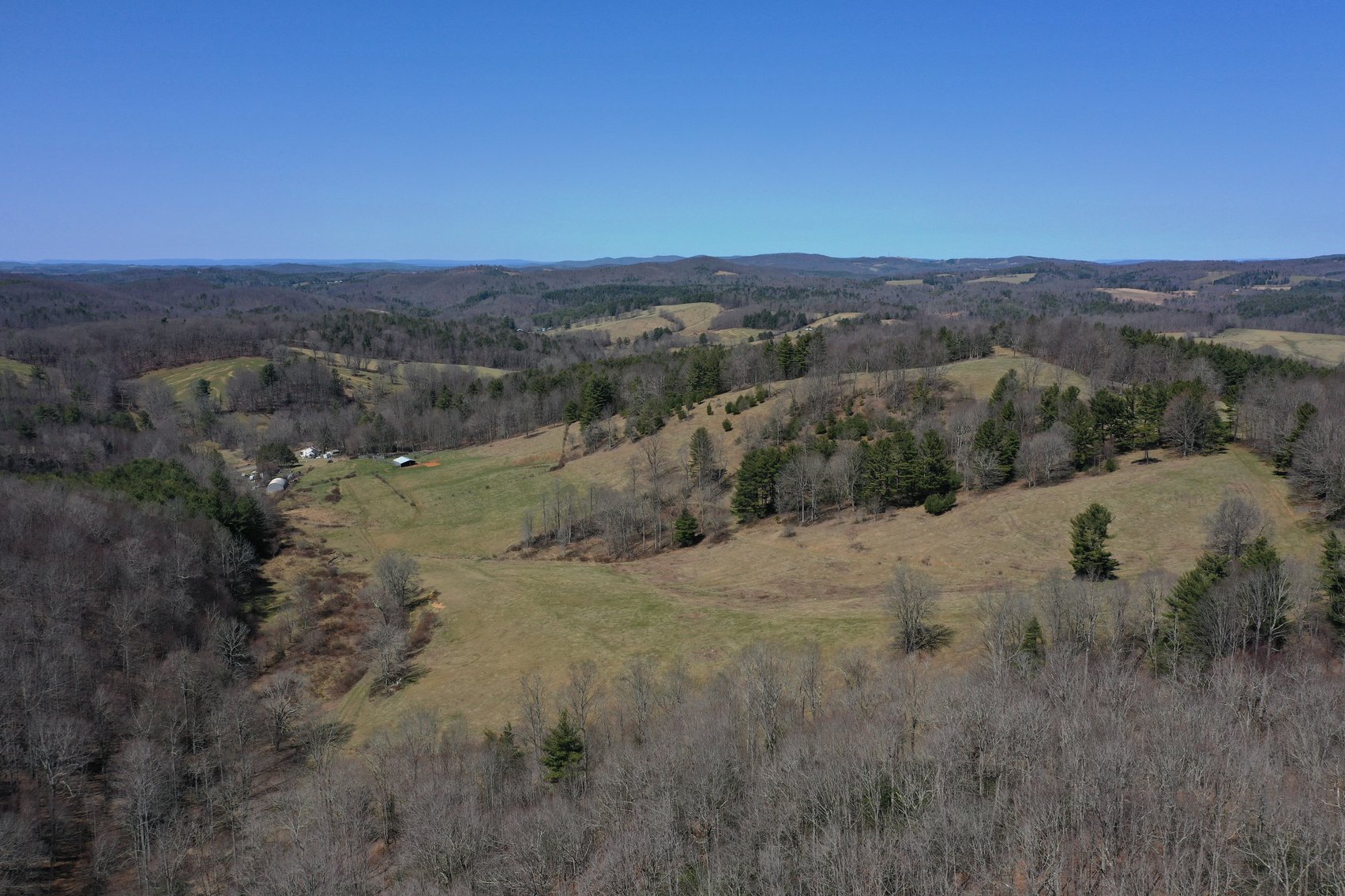 Image for Primtimber Auction