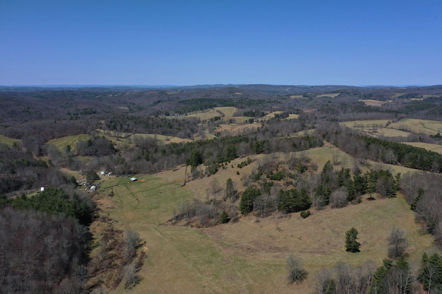 Image for Primtimber Auction