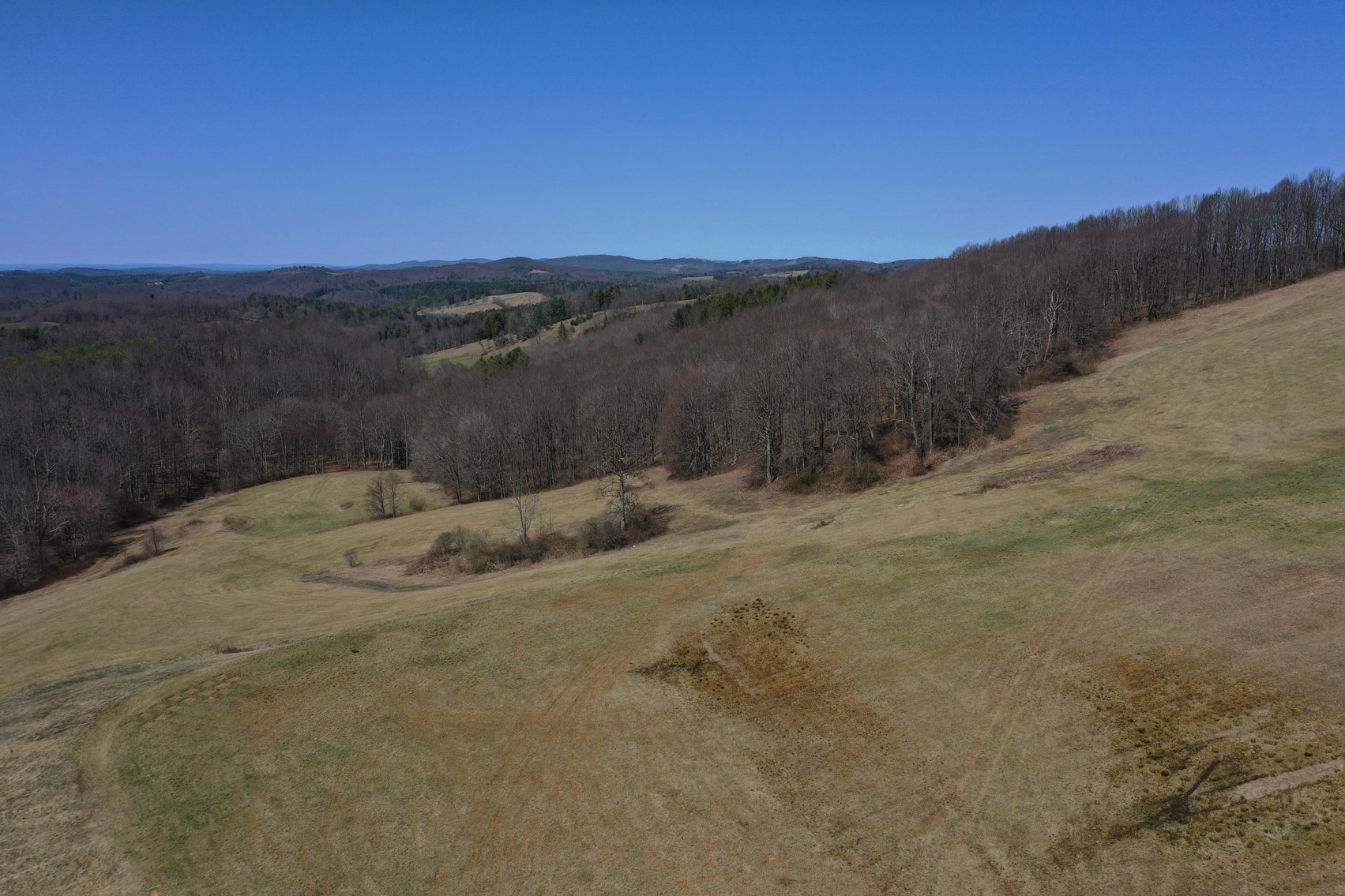 Image for Primtimber Auction