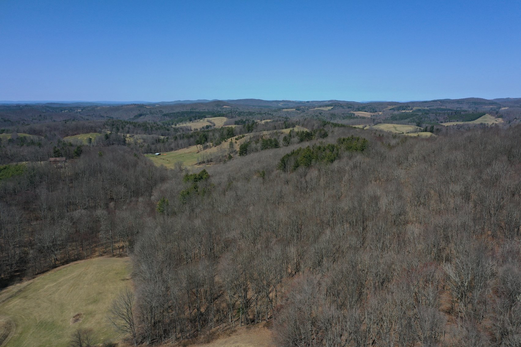 Image for Primtimber Auction