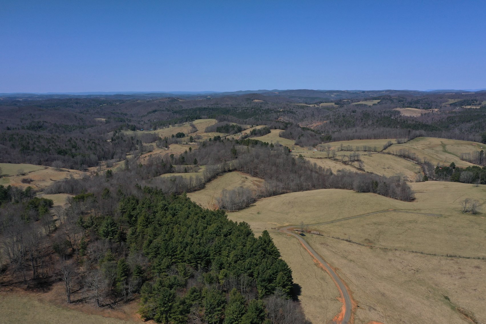 Image for Primtimber Auction