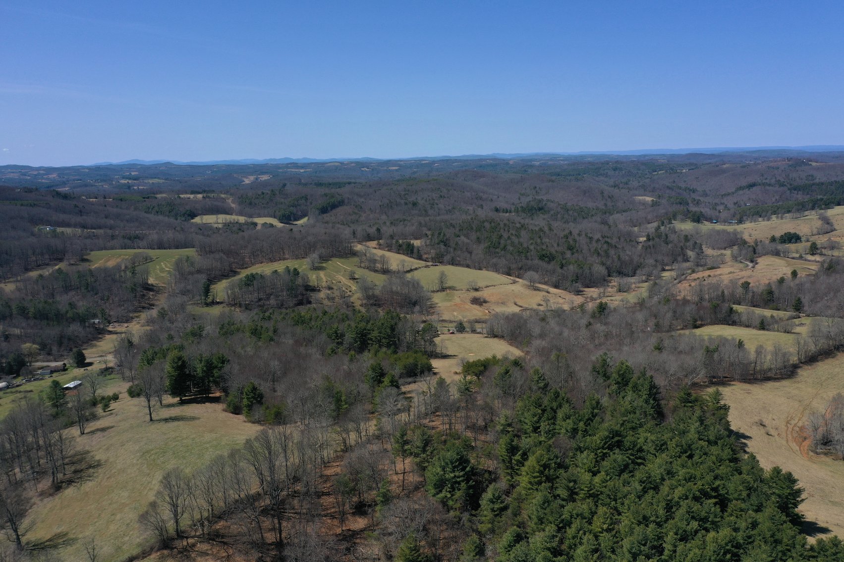 Image for Primtimber Auction