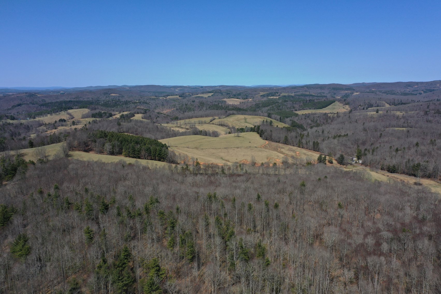 Image for Primtimber Auction