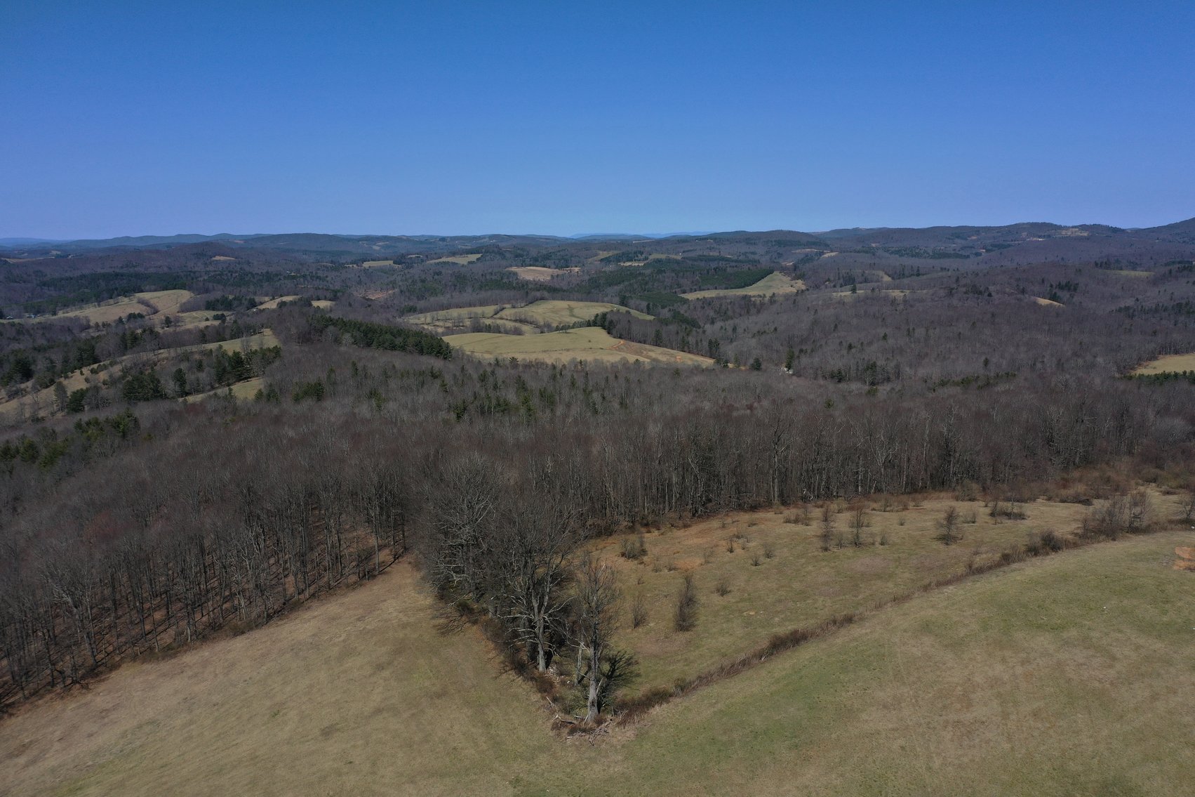 Image for Primtimber Auction