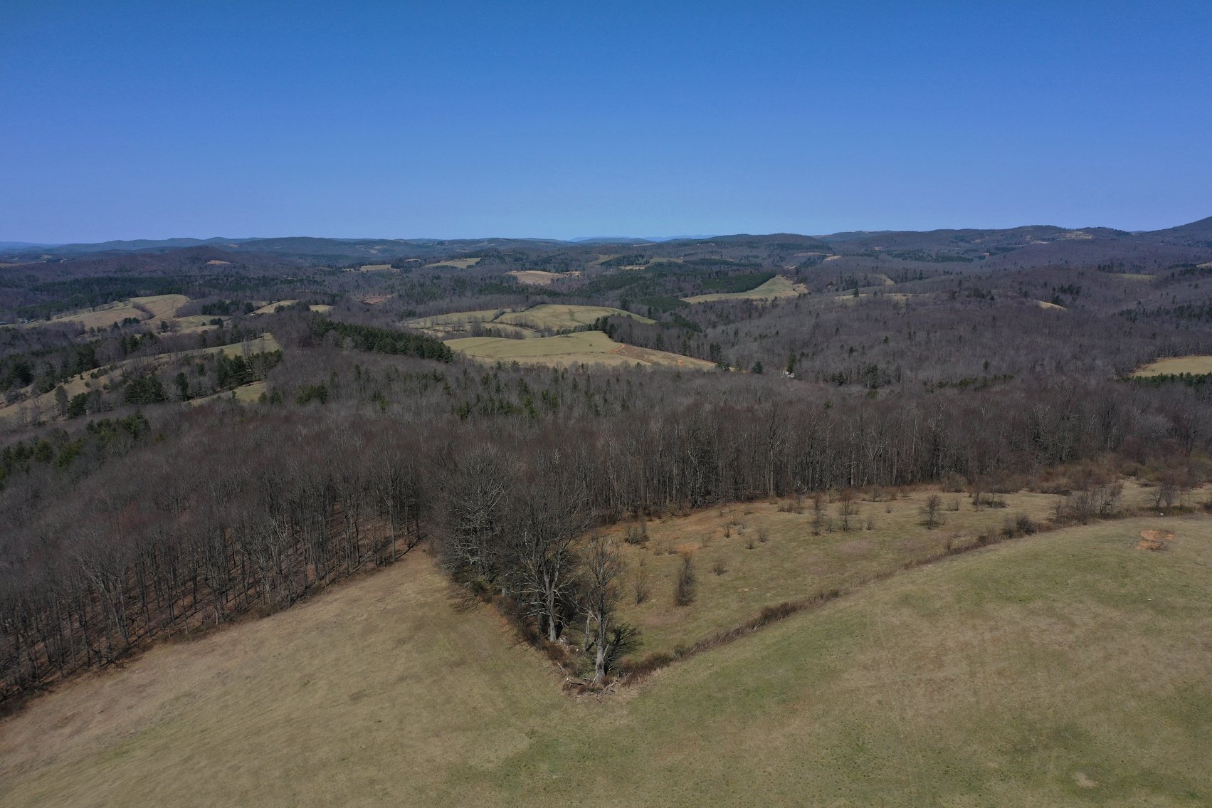 Image for Primtimber Auction