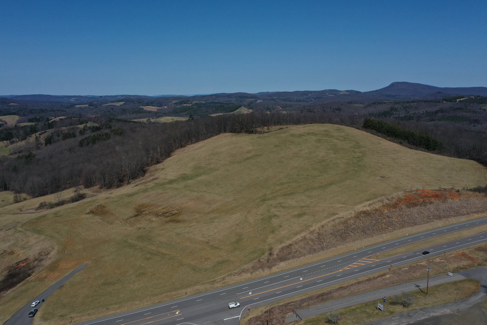 Image for Primtimber Auction