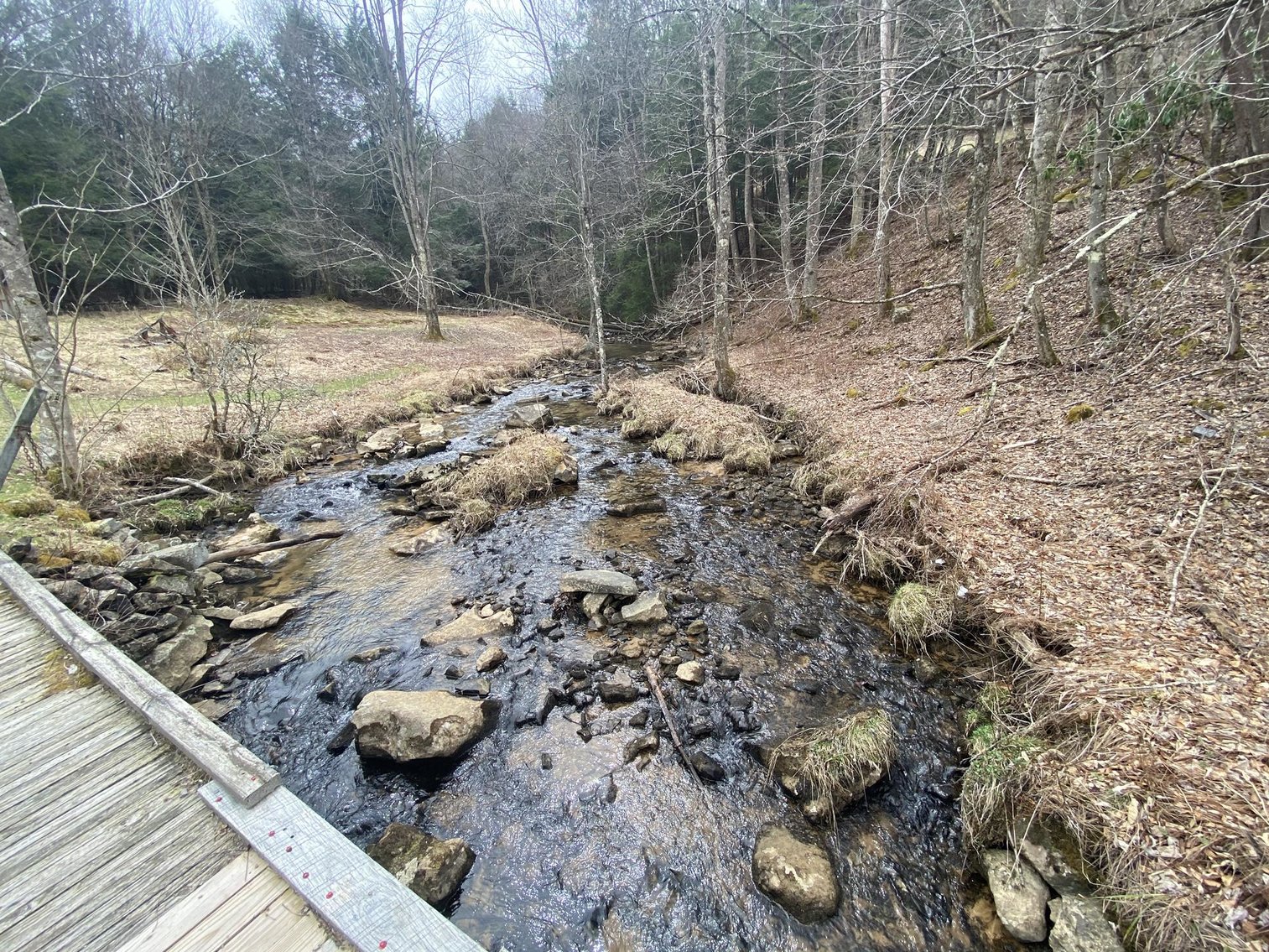 Image for SOLD $242,000 - Hunting Camp on 98 Acres with 3 Bedroom Home