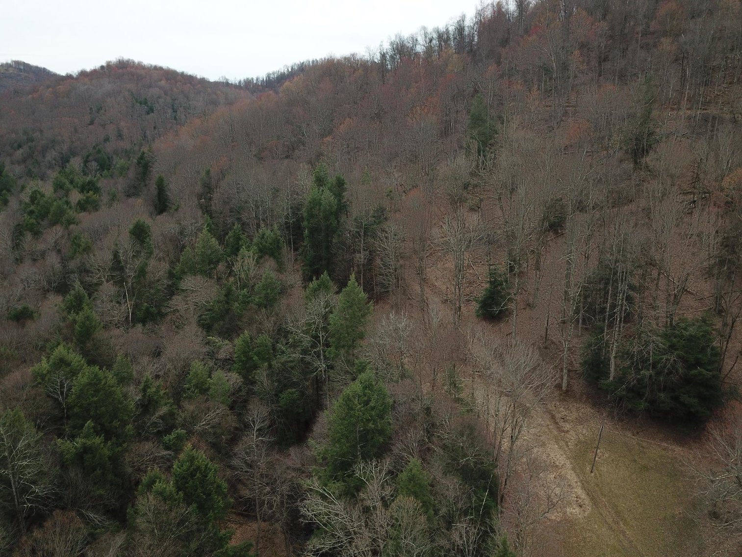 Image for SOLD $242,000 - Hunting Camp on 98 Acres with 3 Bedroom Home