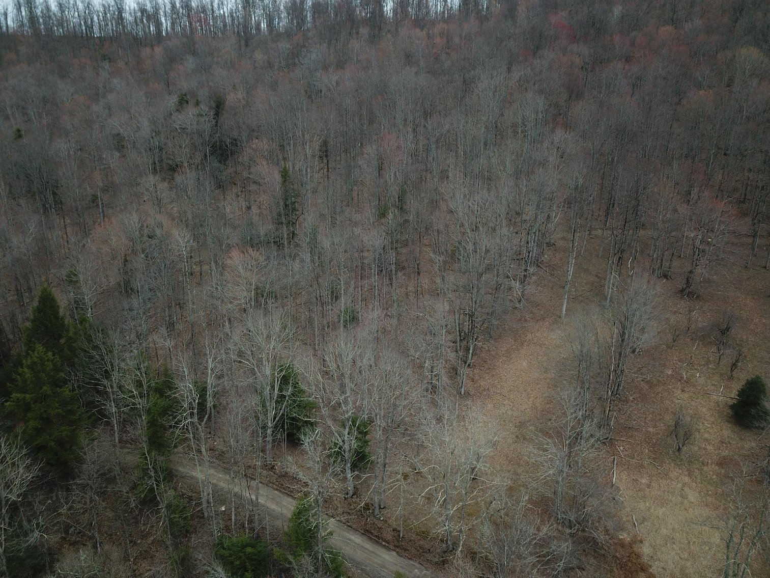 Image for SOLD $242,000 - Hunting Camp on 98 Acres with 3 Bedroom Home