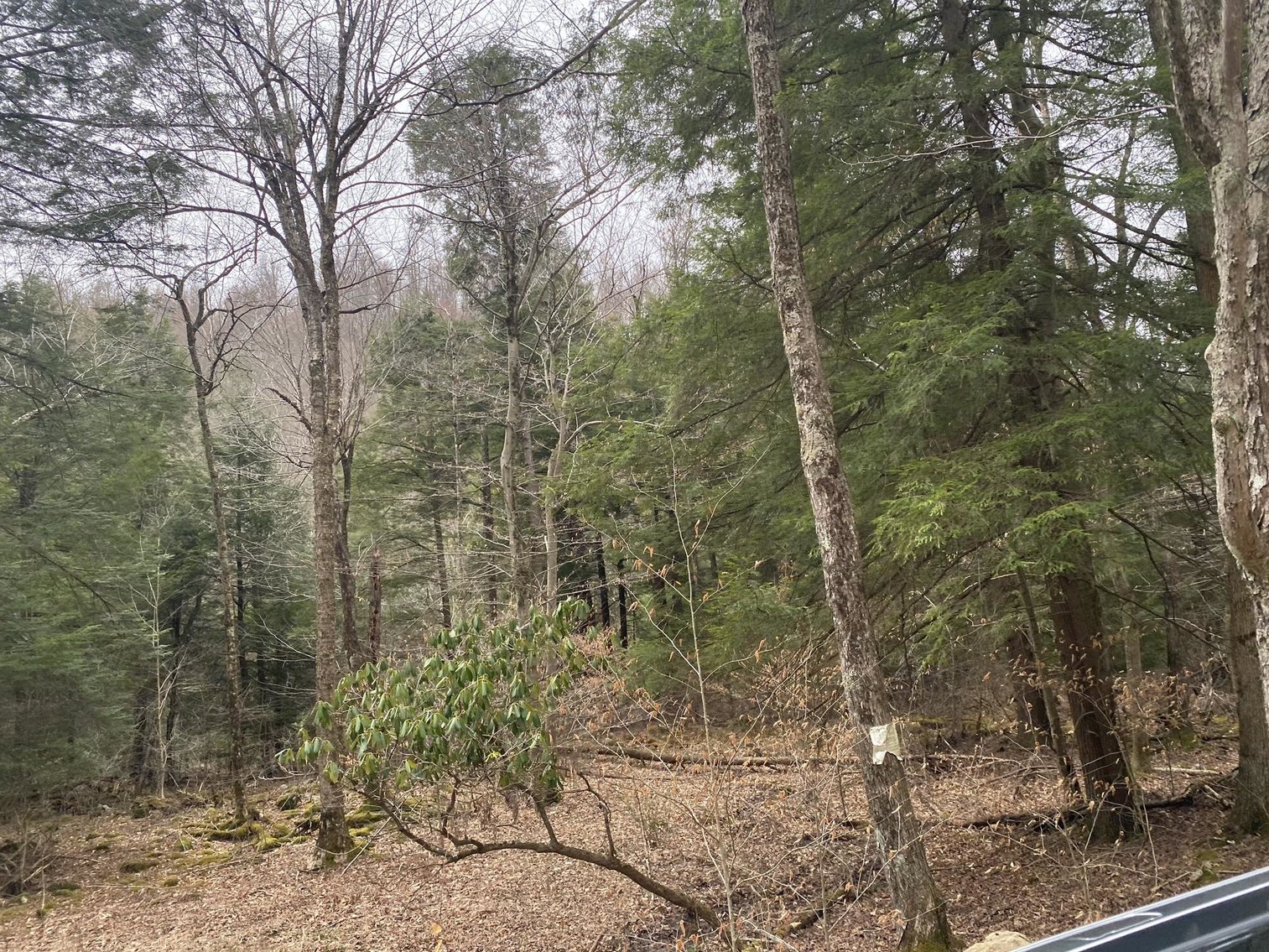 Image for SOLD $242,000 - Hunting Camp on 98 Acres with 3 Bedroom Home