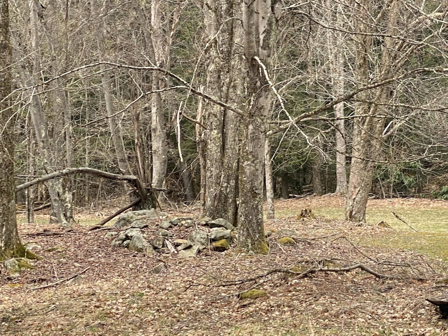 Image for SOLD $242,000 - Hunting Camp on 98 Acres with 3 Bedroom Home