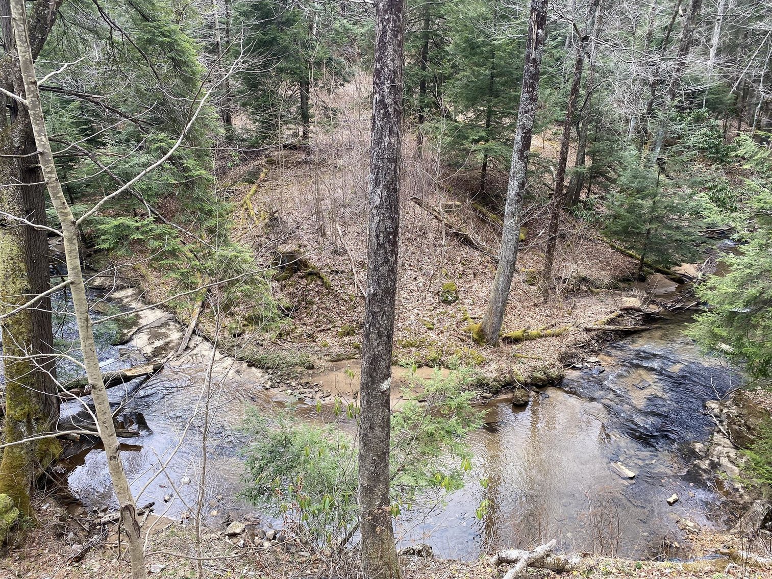 Image for SOLD $242,000 - Hunting Camp on 98 Acres with 3 Bedroom Home