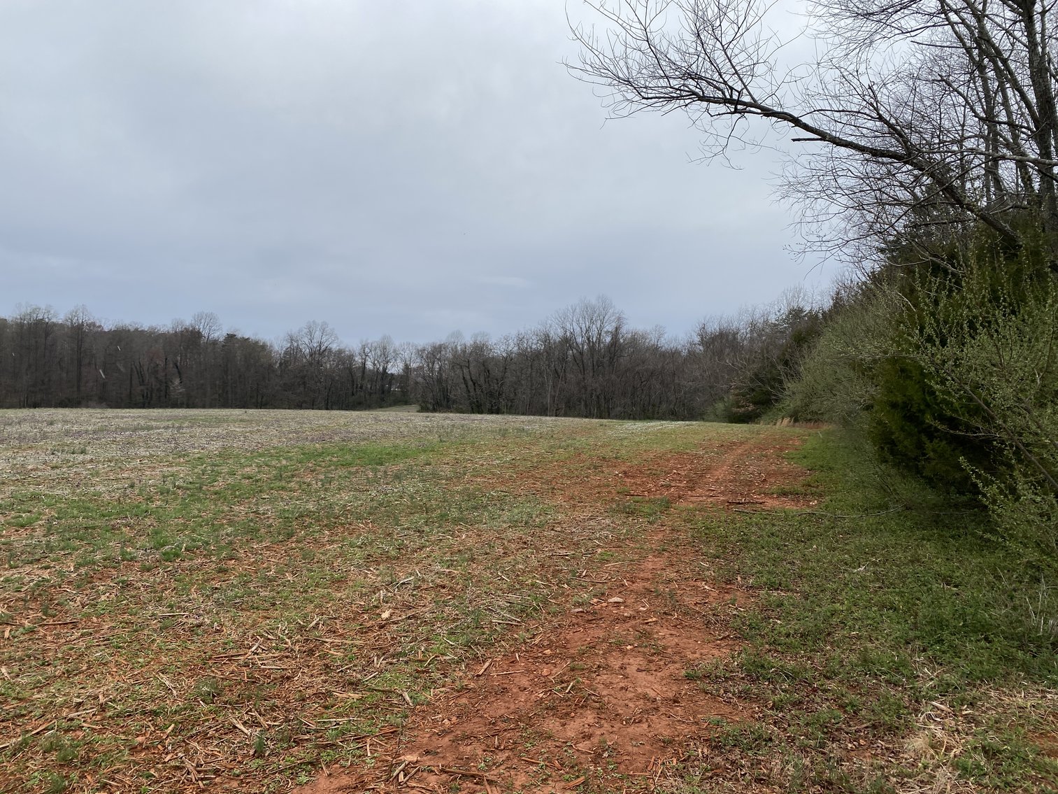 Image for 78.9 +/- Acres of Land in Madison County, VA--SELLING to the HIGHEST BIDDER!!