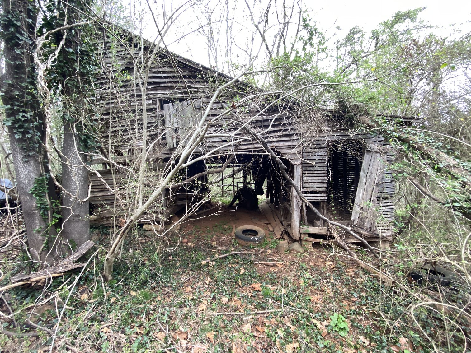 Image for 78.9 +/- Acres of Land in Madison County, VA--SELLING to the HIGHEST BIDDER!!