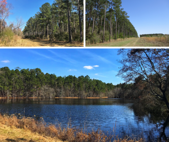 Image for LIVE AUCTION - May 6, 2021