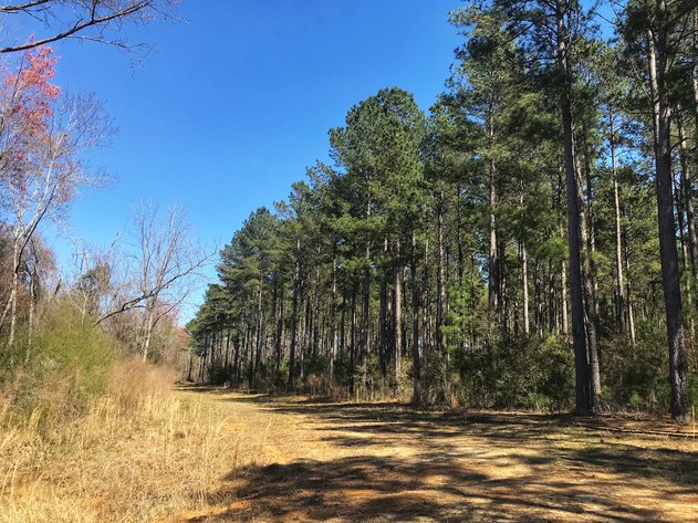 Image for LIVE AUCTION - May 6, 2021