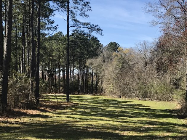 Image for LIVE AUCTION - May 6, 2021