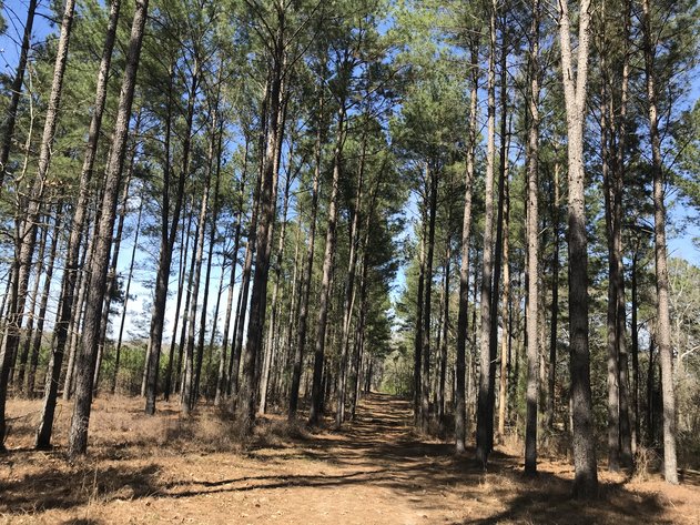 Image for LIVE AUCTION - May 6, 2021