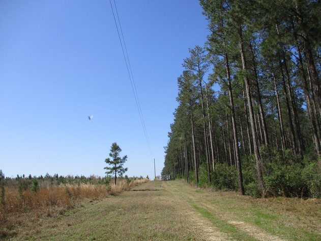 Image for LIVE AUCTION - May 6, 2021