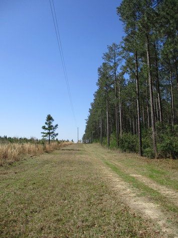 Image for LIVE AUCTION - May 6, 2021