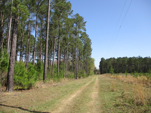 Image for LIVE AUCTION - May 6, 2021