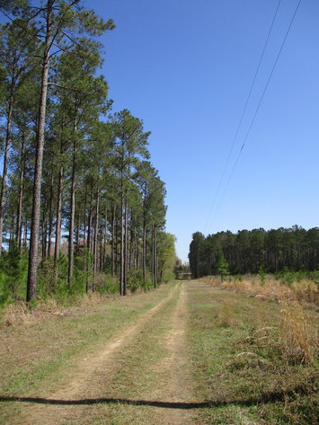 Image for LIVE AUCTION - May 6, 2021