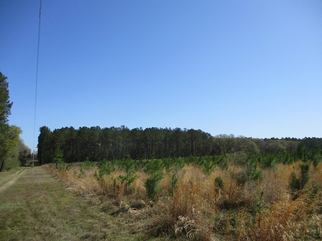 Image for LIVE AUCTION - May 6, 2021