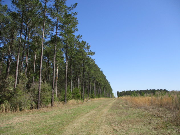 Image for LIVE AUCTION - May 6, 2021