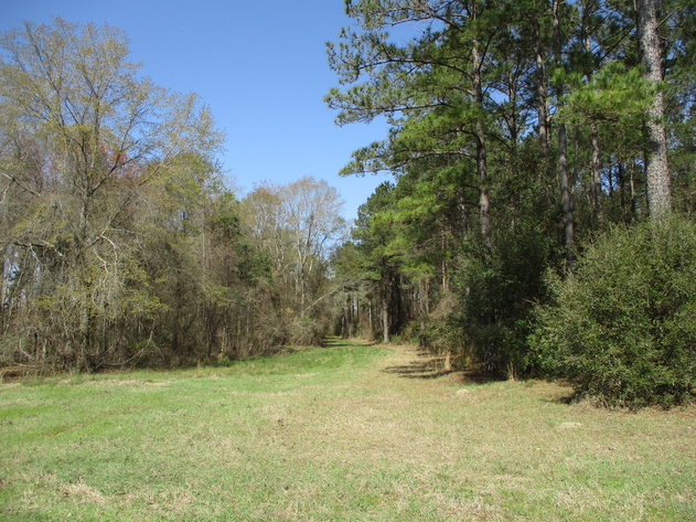 Image for LIVE AUCTION - May 6, 2021