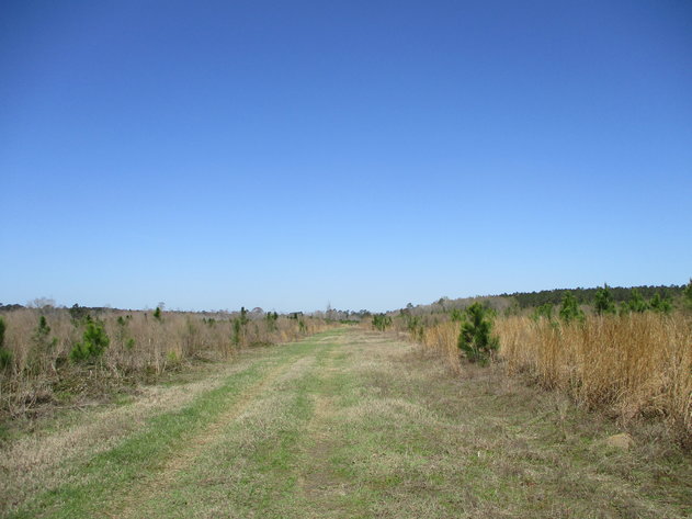 Image for LIVE AUCTION - May 6, 2021