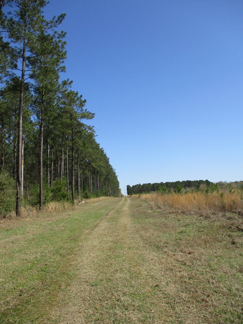 Image for LIVE AUCTION - May 6, 2021