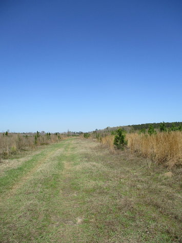 Image for LIVE AUCTION - May 6, 2021