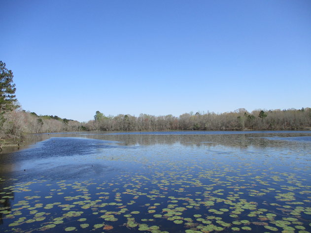 Image for LIVE AUCTION - May 6, 2021