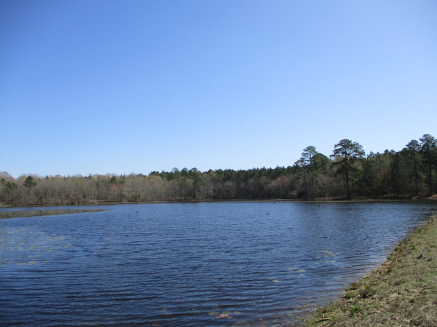 Image for LIVE AUCTION - May 6, 2021