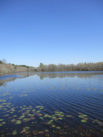 Image for LIVE AUCTION - May 6, 2021