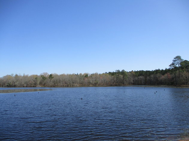 Image for LIVE AUCTION - May 6, 2021