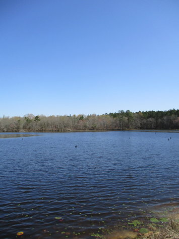 Image for LIVE AUCTION - May 6, 2021